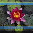 Picture for song 'Rippling Tide' by artist 'Victor M. Garcia'