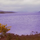 Picture for song 'Those Times Have Gone' by artist 'Viking Blues'