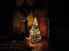 Picture for song 'In Peace & Love, Happy Christmas To You' by artist 'Wade Farlowe'