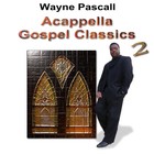 Picture for song 'SHELTER IN THE TIME OF STORM' by artist 'Wayne Pascall Acappella'