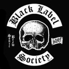 Picture for song 'In This River - Black Label Society Cover' by artist 'Wez and Nath'