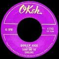 Picture for song 'Golly Gee' by artist 'Whale Hawk'