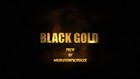 Picture for song 'Black Gold' by artist 'WildlifeDaProducer'