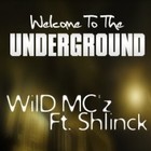 Picture for song 'Welcome 2 the UnderGround' by artist 'WilD MC'z'