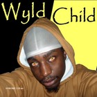 Picture for song 'Lauren' by artist 'Wyld Xpense'