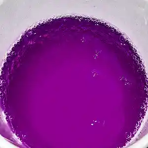 Picture for song 'PINE (prod. xandro)' by artist 'XandroBEATS'