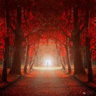 Picture for song 'xCyrus - The Alchemist Love.mp3' by artist 'XCyrus'