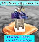 Picture for song 'Barmitzvah of a Lizard Boy' by artist 'Xylen Roberts'