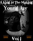 Picture for song '2 Official' by artist 'Young Jay The King In The Making'