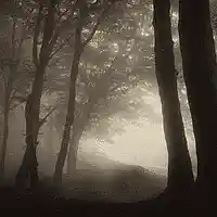 Picture for song 'This Is It' by artist 'YUNGTHREATS'