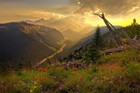 Picture for song 'Seta a voelgyben' by artist 'Zsolt Benko'