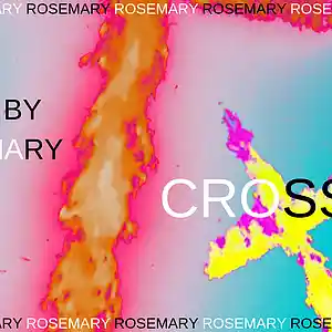 Picture for song 'CROSS' by artist 'ROSEMARYY'