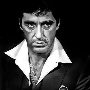 Picture for song 'Im Tony' by artist 'SosaOsama'