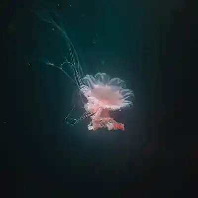 Picture for song 'Beyond' by artist 'VXAQ'
