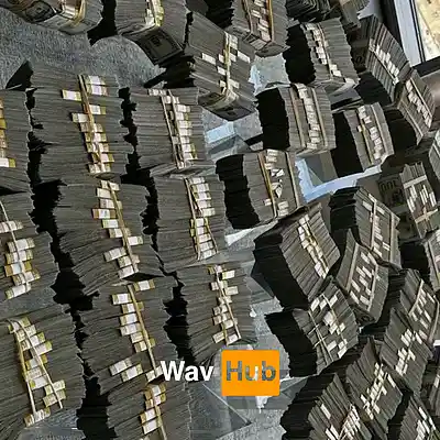 Picture for song 'Pockets Too Heavy (Future x Lil Baby)' by artist 'Wav Hub'