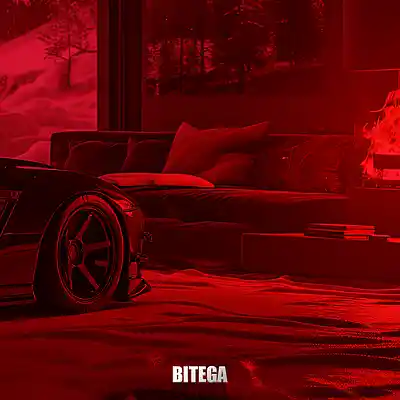 Picture for song 'Bat Flight' by artist 'Bitega'