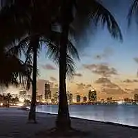 Picture for song 'Tonite, Tonite // *SOLD*' by artist 'Bobby Bizar'