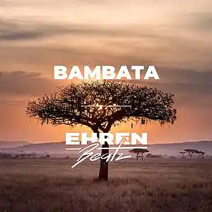 Picture for song 'Bambata 133 BPM' by artist 'ehrenbeatz'