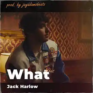 Picture for song 'What' by artist 'jayadamsbeatz'