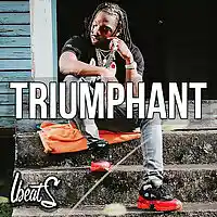 Picture for song 'Triumphant ' by artist 'Lbeats.com'