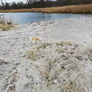 Picture for song 'memories' by artist 'Leckage Monitoring'