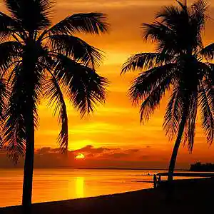 Picture for song 'Quiet Sunset' by artist 'Masigla Tunes'