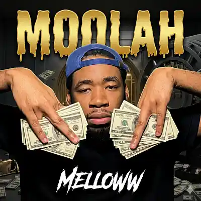 Picture for song 'Moolah' by artist 'MellLoww'