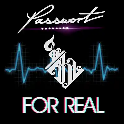 Picture for song 'FOR REAL' by artist 'PASSWORT 13-8'