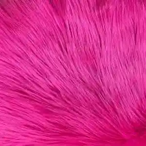 Picture for song 'Fuzz Factory' by artist 'Pete Moss and the Weed Wackers'