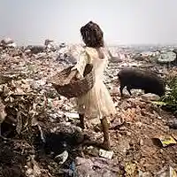 Picture for song 'This is the Time' by artist 'Peter Kosta's Galaxy Rock Band'