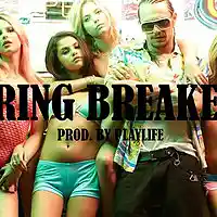Picture for song 'Spring Breakers ' by artist 'Playlife'
