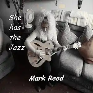 Picture for song 'Ice Slice' by artist 'She has the jazz'