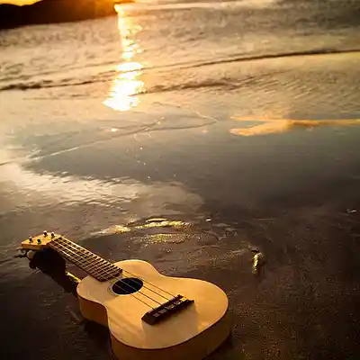 Picture for song 'Ukulele Lofi Type Beat - Love Song' by artist 'Stc Beats VB'