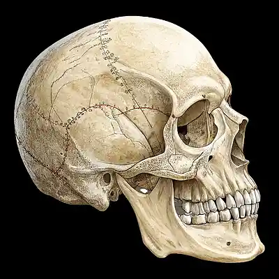 Picture for song 'Mortality' by artist 'tera3yte'