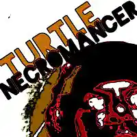 Picture for song 'Sonica' by artist 'Turtle Necromancer'