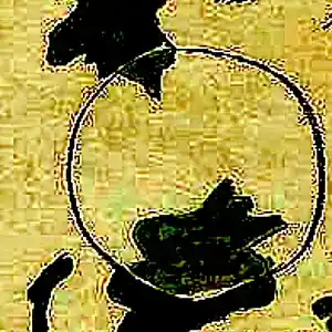 Picture for song 'Ajar' by artist 'Ylva Lund Bergner'