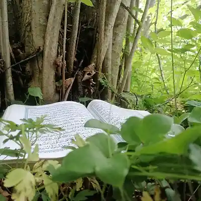 Picture for song '20250527_163559_FS_HEtookMEouttheGhetto' by artist '786 scheint-Al'lahs Bande'