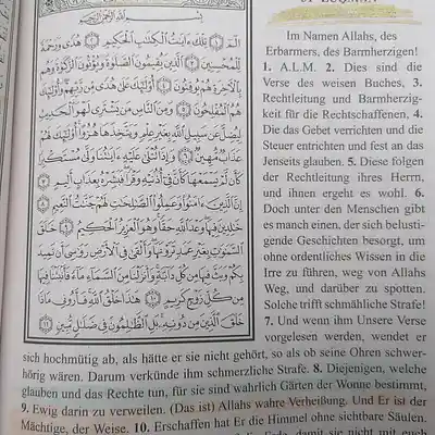 Picture for song '20250713_192044_FS_ballinHart' by artist '786 scheint-Al'lahs Bande'