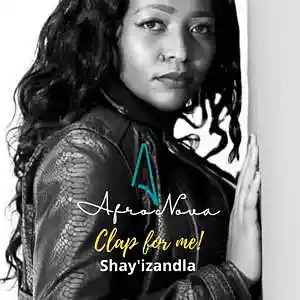 Picture for song 'Clap for me!' by artist 'AfroNova'