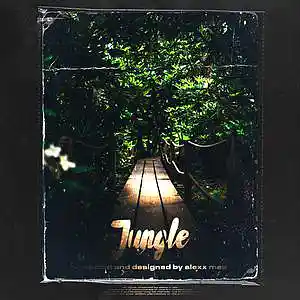 Picture for song 'JUNGLE' by artist 'Alexx Melo'