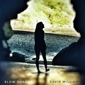 Picture for song 'Slow Shade' by artist 'Seeking Planets In The Dust'