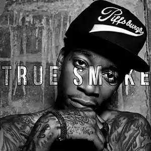 Picture for song 'True Smokes' by artist 'Frankenstein Beats'