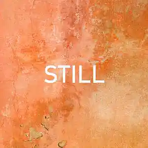 Picture for song 'Still' by artist 'GRVBEAT'