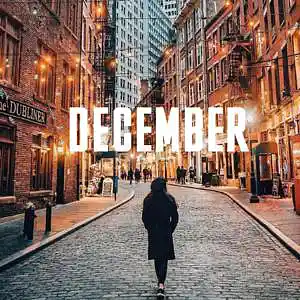 Picture for song 'December Emotional Beat' by artist 'whtrwl'