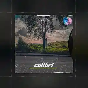 Picture for song 'Colibri' by artist 'CGPbeats'