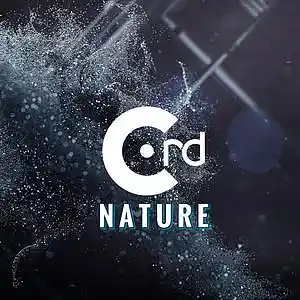 Picture for song 'Nature (2020)' by artist 'Cord (Estonia)'