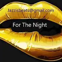 Picture for song 'For The Night' by artist 'Jazzi Jaa'