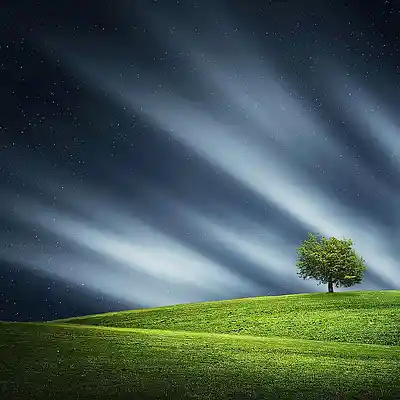 Picture for song 'Baiely, thinking of you....' by artist 'Jinty'