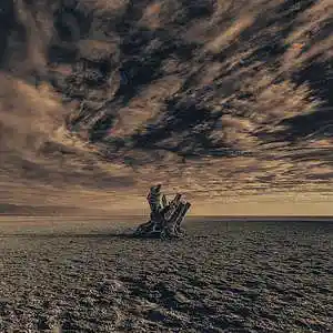 Picture for song 'Triumph' by artist 'Netuno Soundtracks'