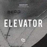 Picture for song 'SmokePurpp-Thats myenergy(Prod Red Drum x DJ Flipp' by artist 'Red Drum Beats'